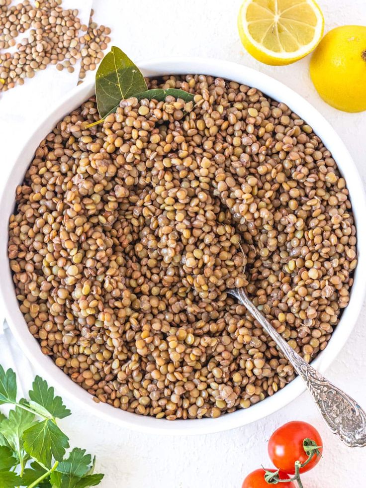 Minimum Order Quantity (MOQ) & Bulk Pricing Guide for Iranian Lentil Buyers